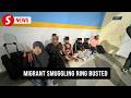 Immigration nabs 11 to foil migrant smuggling ops