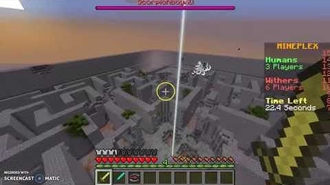 Fly Hacker in Mineplex Mixed Arcade.