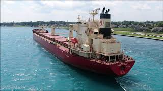 FEDERAL SAKURA - Downbound Port Huron, Michigan 8-9-2020