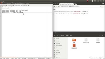 Карманы в директиве RewriteCond в htaccess