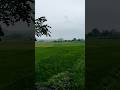 udan ngricik 🫪🫪 #nature #trendingshorts
