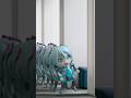 ダヨーさん、たっぷり現る！