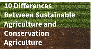 10 Differences Between Sustainable Agriculture and Conservation Agriculture Wealth