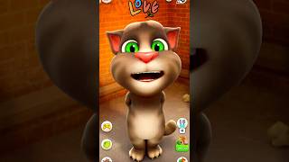 Talking Tom Cat