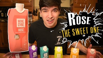 IS TARGET WINE ACTUALLY GOOD?!? (TRYING 6 WINE CUBES IN 60 SECONDS!)