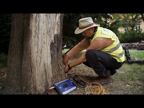 Video: Aká je úloha partnerského hodnotenia?