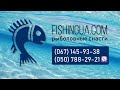 Купить сети рыболовные. Интернет магазин Fishingua.com