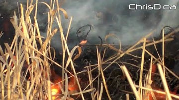Stubble Burning - Nov. 19, 2009 - Grosse Isle, Manitoba