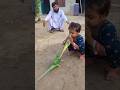 Happiness With Cute Baby Parrot Eliza Parrot YouTube Short Video Happiness With Cute Baby Parrot Eliza Parrot YouTube Short Video