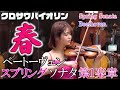 ベートーヴェン スプリングソナタ 第1楽章 Spring Sonata 1st mov. Beethoven