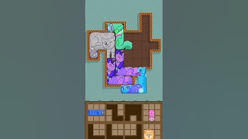 puzzle #cats - game funny #shorlts 😛😛😛#video #viral #shorts