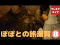 ぽぽとの旅滋賀と岐阜(8)【Popo's Journey Shiga and Gifu (8)】
