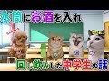 【ほぼ実話】水筒にお酒を入れ回し飲みした中学生の話【猫ミーム】【猫マニ】