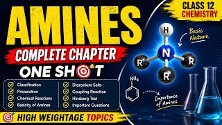 Amines: Fundamentals, Synthesis, and Chemical Reactivity