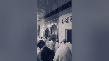 ماتيسر من سورة المنافقون بصوت القارئ محمد وليد الشرعبي