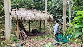 Download Lagu What If You Had to Choose Between a Shelter and an Abandoned House? MP3