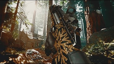 Woods Aug Nuke | Bullet Force PC