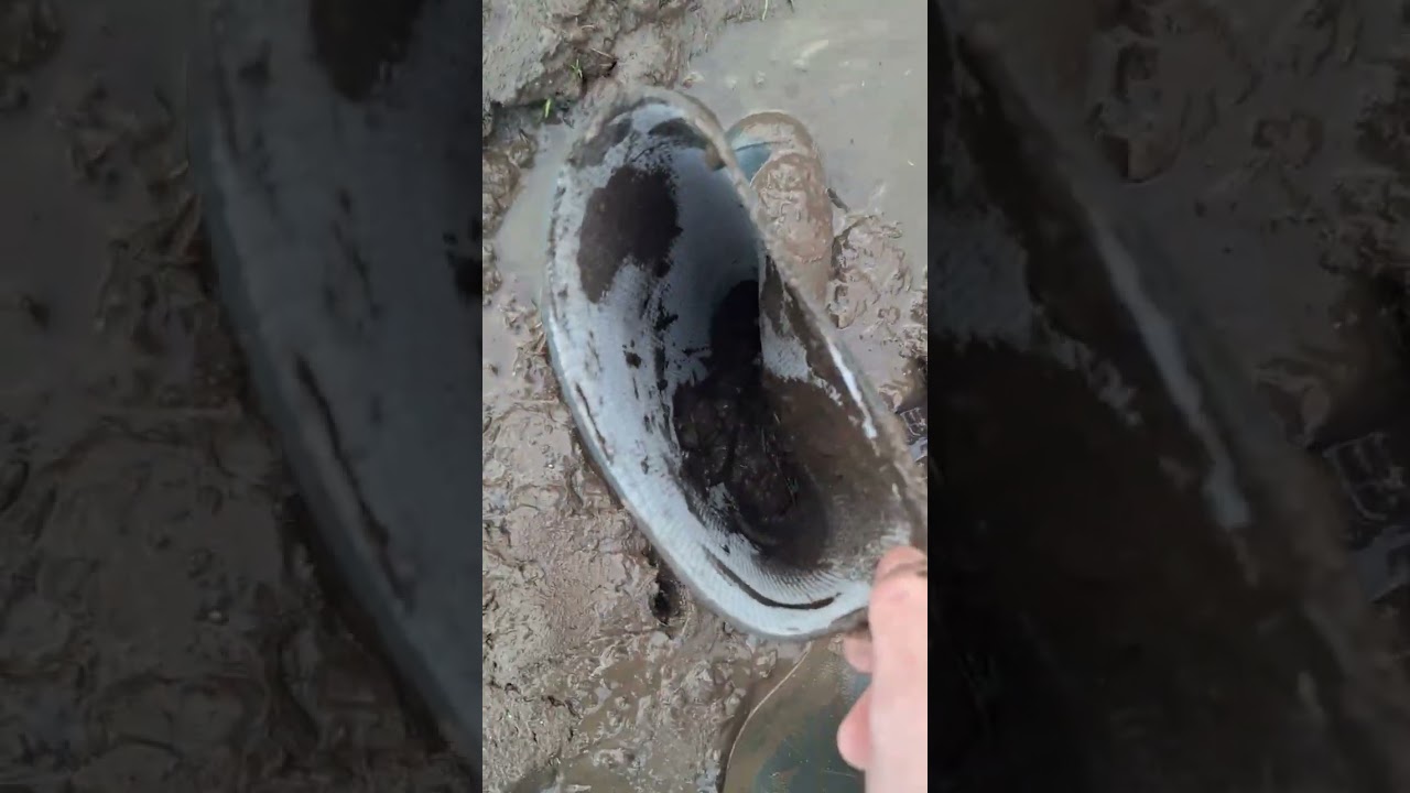 Getting wellies and socks muddy