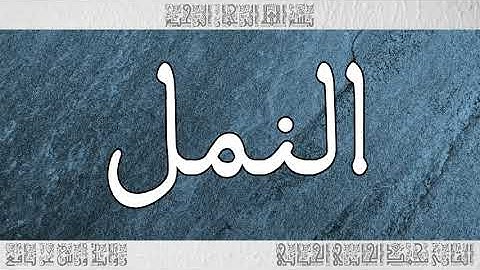 القرآن سورة النمل ورش القارئ محمد الجابري الحياني 027