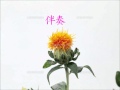 紅の舟歌2