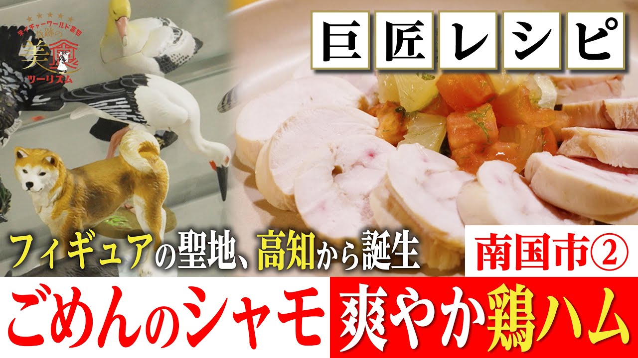 【プロの調理法🍳】幻のシャモの爽やか鶏ハム・南国市②｜奇跡の美食ツーリズム #高知 #高知グルメ #高知旅