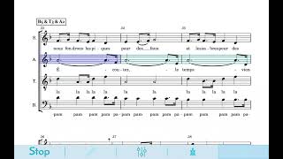 Canon De La Paix - F Rolland & F Terral - Alti