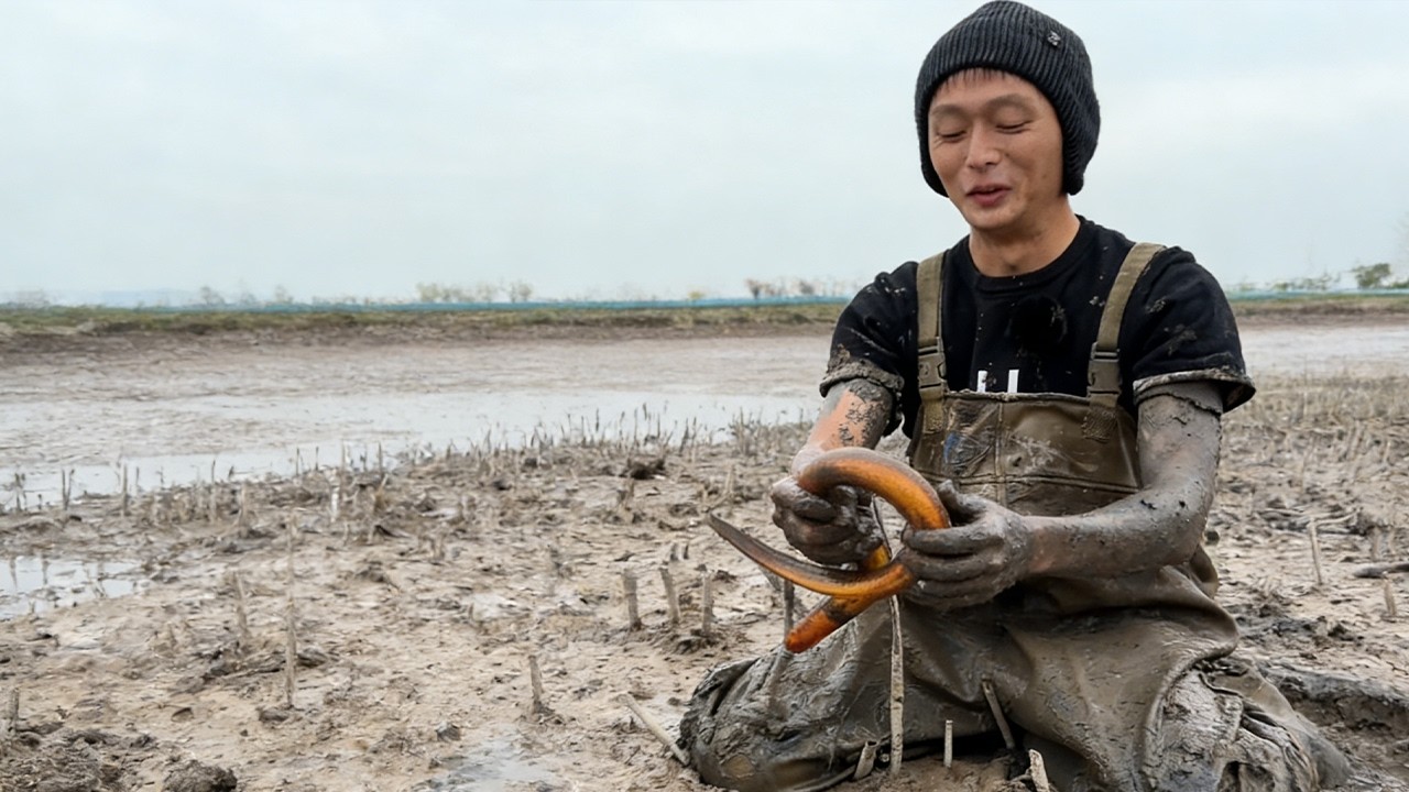500塊限時一小時抓鱔，挑戰拉滿，看看最後能不能回本上岸！#熱門 #fishing