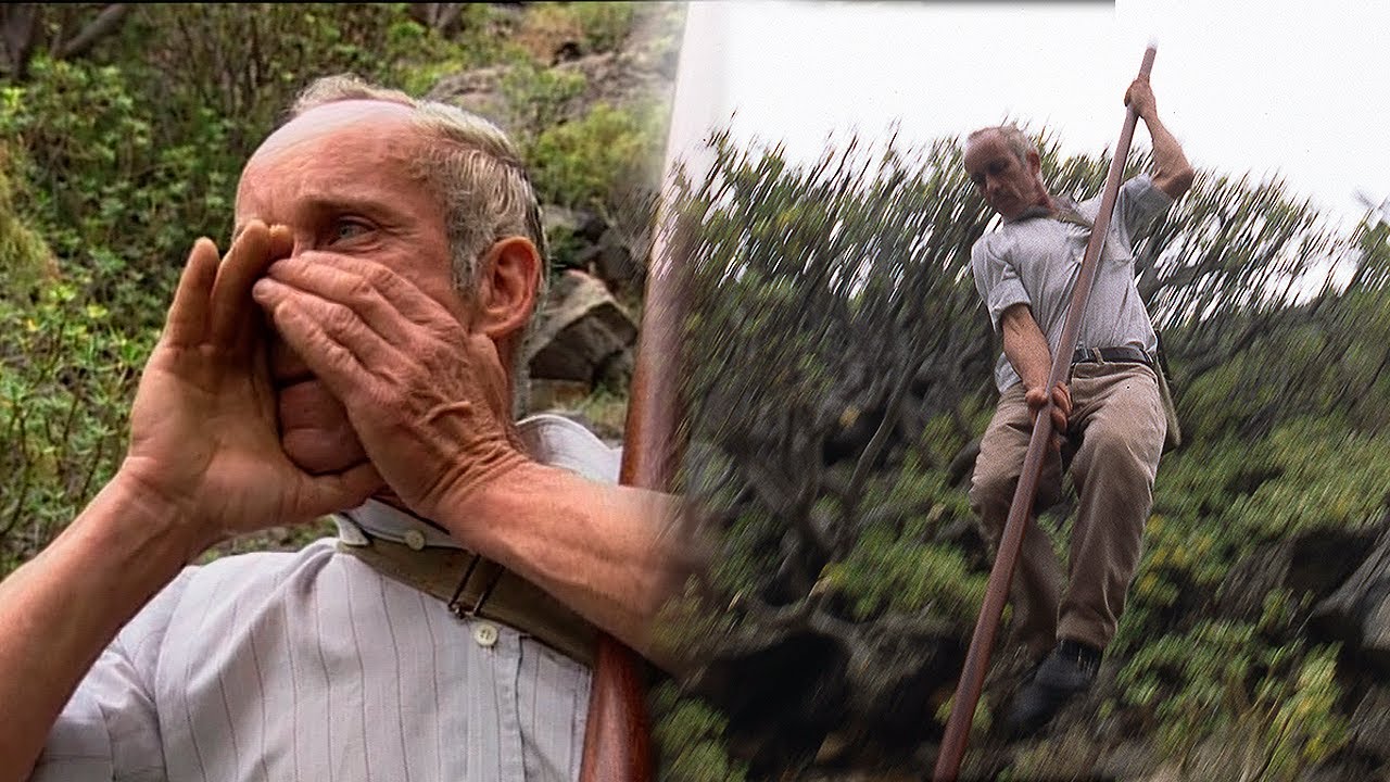PASTOREO TRADICIONAL. Silbidos y actividades pastoriles en La Gomera | Oficios Perdidos | Documental