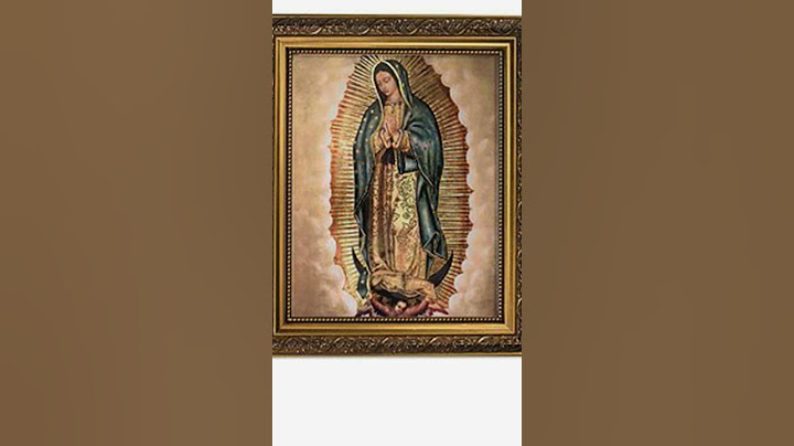La virgen guadalupana🙏 #lupita #laguadalupana #alabanzas #virgenmaria #avemaria