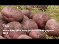 Retos y desafíos en la producción de papa en 2025 - TvAgro por Juan Gonzalo Angel