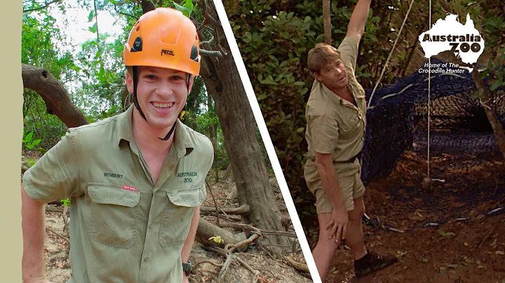 Finding crocs the way Steve taught us | Wildlife W...