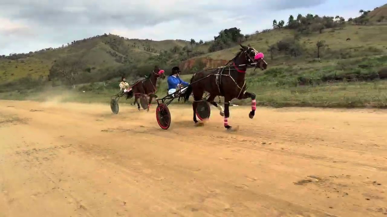 1º Wood Irene 2.12.69; 2º Kw Ilusitada 2.12.99