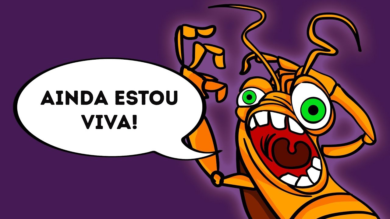 Duras de Matar: Por Que É Tão Difícil Se Livrar Das Baratas? inspiração significado