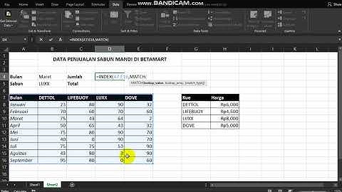 tutorial penggunaan Formula / Rumus menggunakan data validation,index, match, vlookup