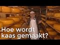 Hoe wordt kaas gemaakt? | Het Klokhuis
