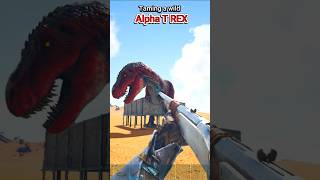 Challenge TAME ALPHA REX