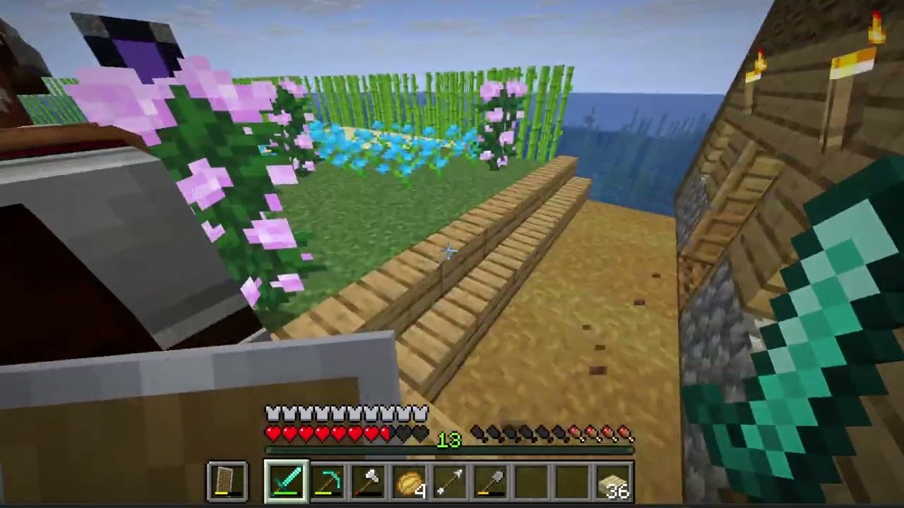 Postavil Som Most Aby Som Mohol Previezť Zvieratá.