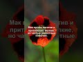 Секрет маковой дорожки: Как запутать беду