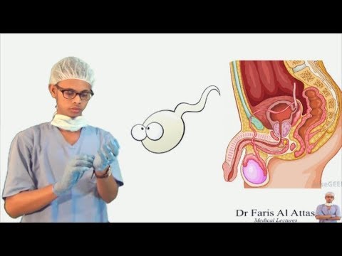 Mashhur yalangoch gif