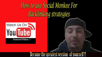 How to use Social Monkee for SEO Strategies