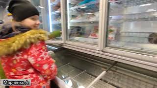 Russia #nord Ямал Лабытнанги Поход по магазинам, часть 2 #2022 #цены Пятёрочка.