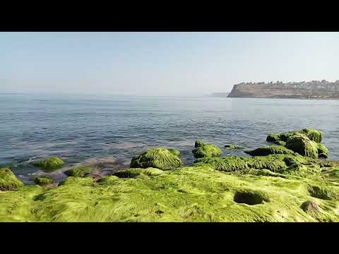 شاطئ أولاد بن عايد البحيرة B Hira 