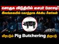 சீனர்களை குறிவைத்து சைபர் மோசடி!| இலங்கையில் சிக்கிய மர்ம கும்பல்| Pig Butchering| Jennifer Wilson
