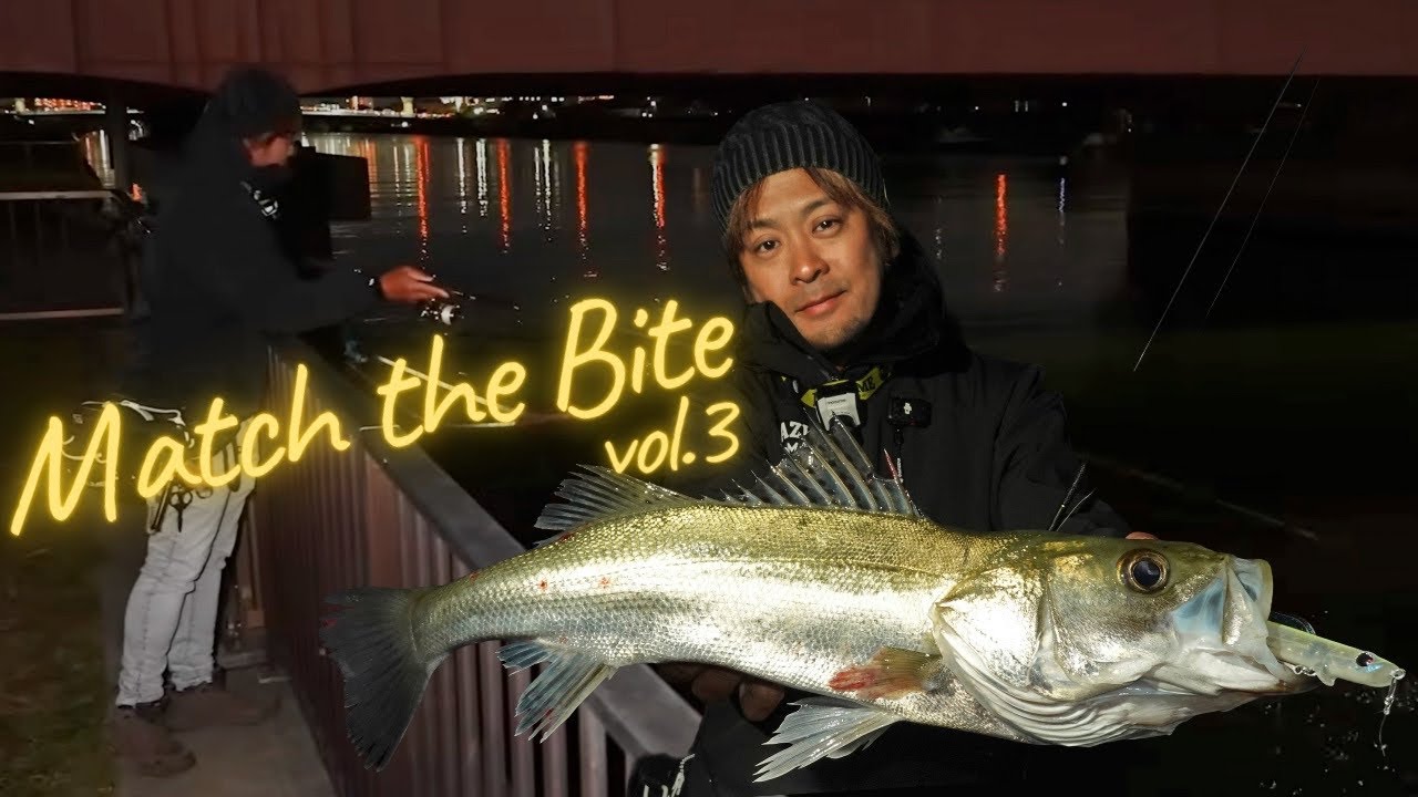 一つのポイントからシーバスを引き出す攻略法！