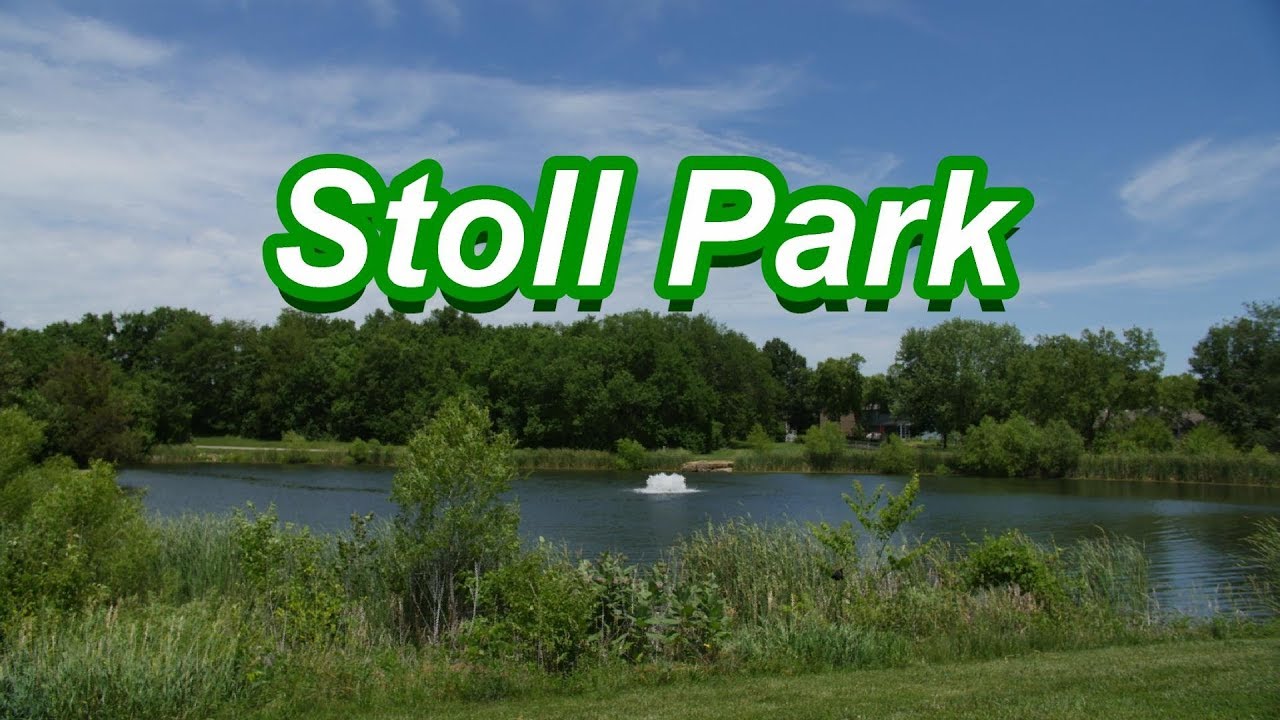Stoll Memorial Park wildlife - YouTube