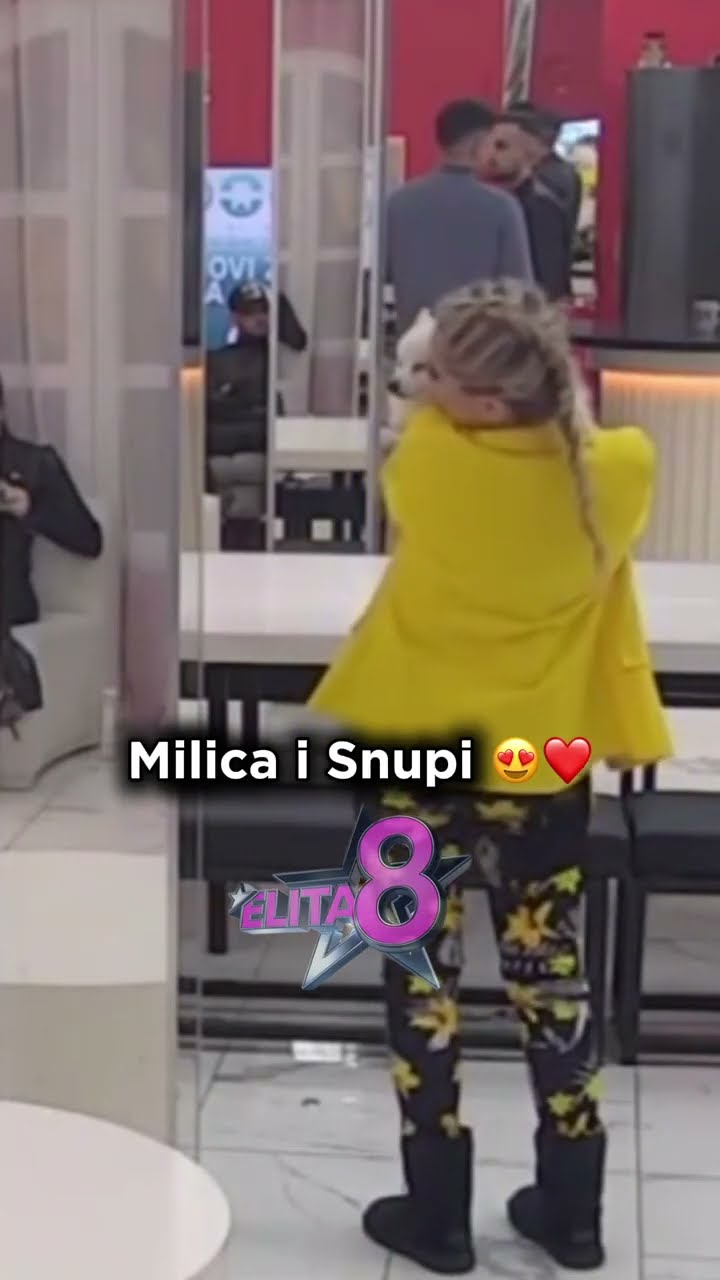 #rtvpink #zadrugauzivo #humor