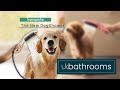 Gambar HANSGROHE Made in Germany DogShower Dogs hand shower 150 3jet 26640700 - White dari Wisma Sehati Online Kab. Tangerang 8 Tokopedia