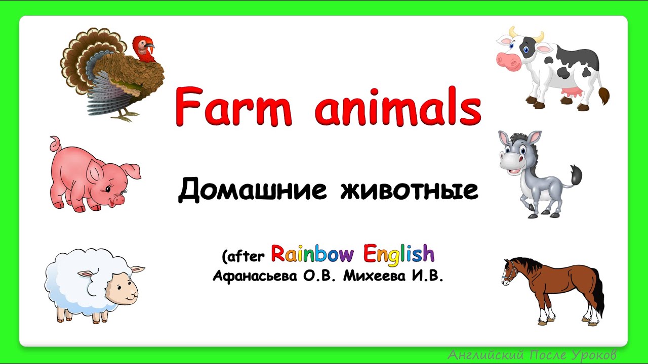 ⁣Rainbow English 3 класс. Животные на ферме. Домашние животные на ферме. FARM ANIMALS