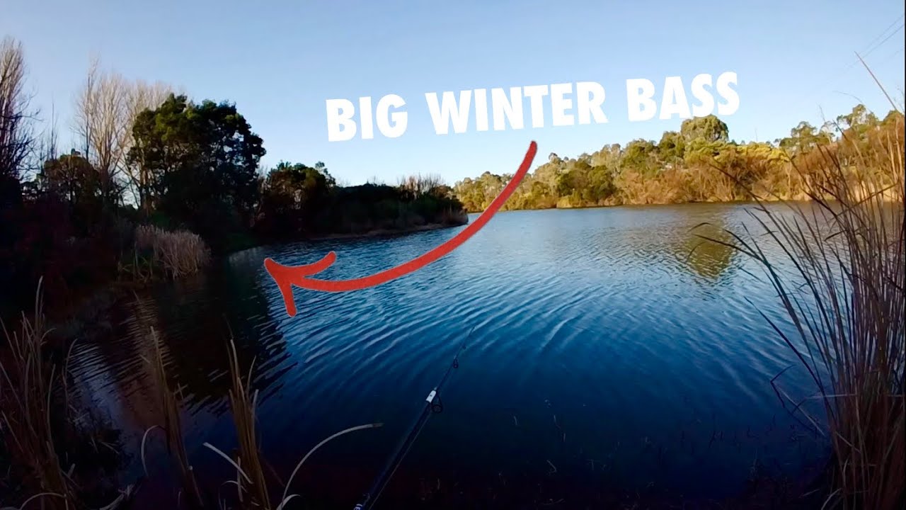 Bass fishing in winter | Is it even worth it ?
