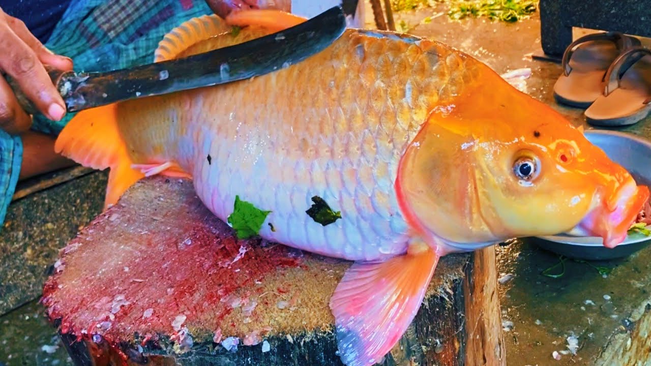 Incredible Huge Orange Carp Fish Cutting Skills Live In Bangladesh